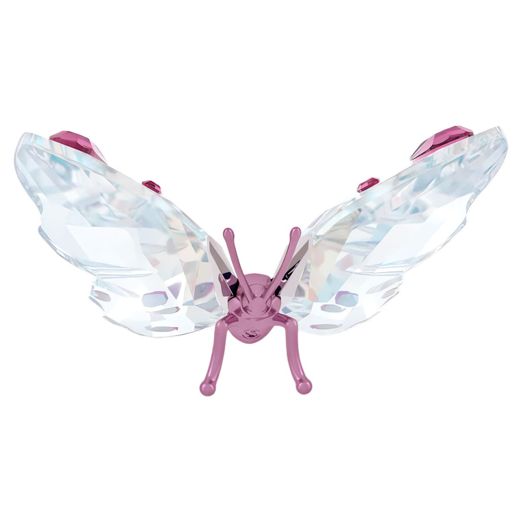 Mariposa Idyllia