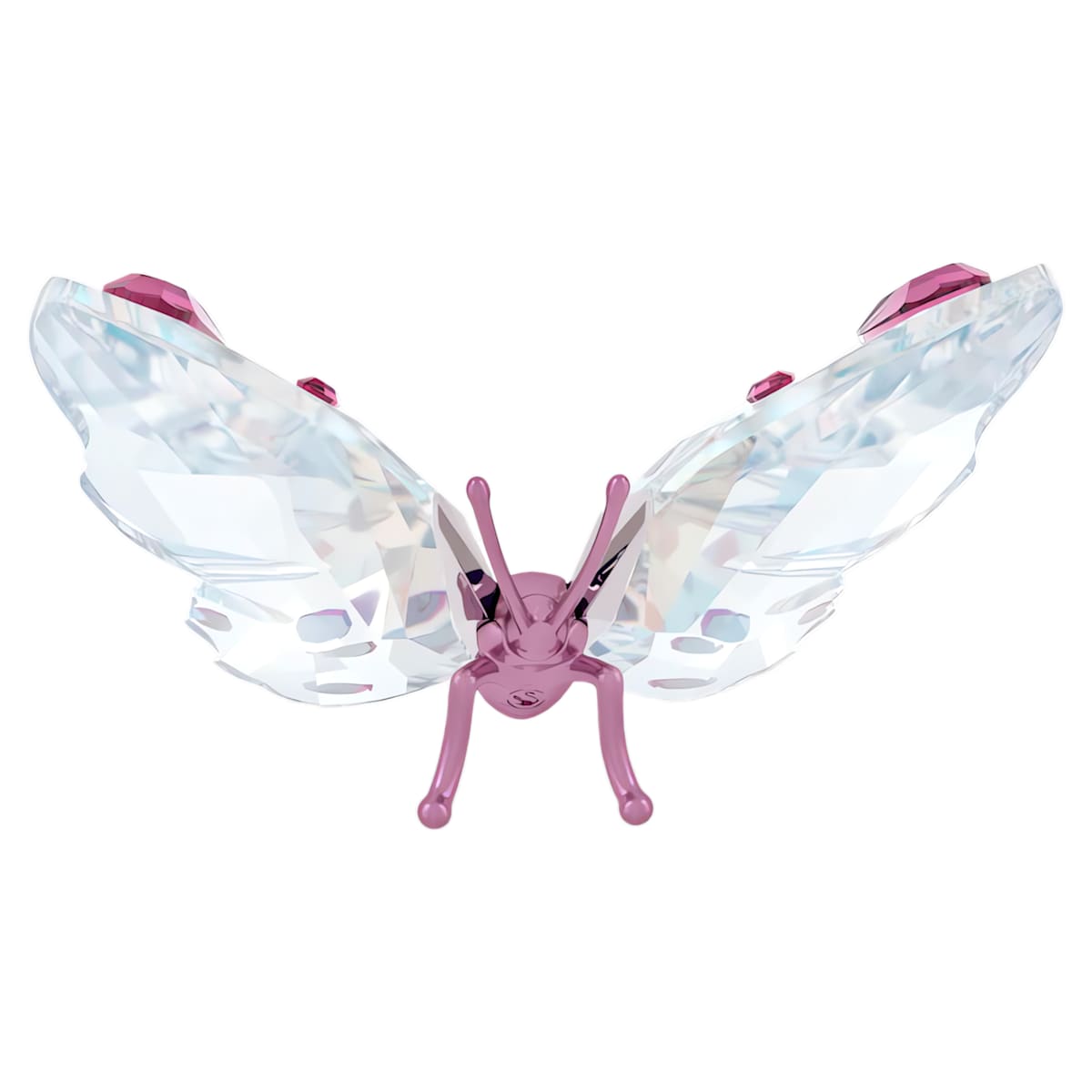 Idyllia Butterfly