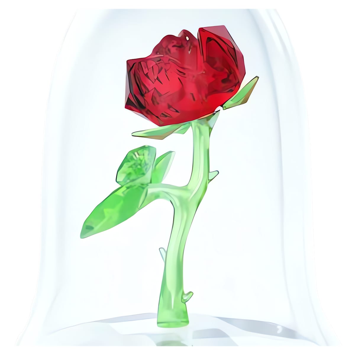 Enchanted Rose