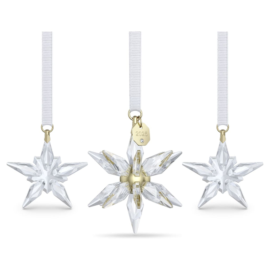 Annual Edition 3D Ornament Set 2025
