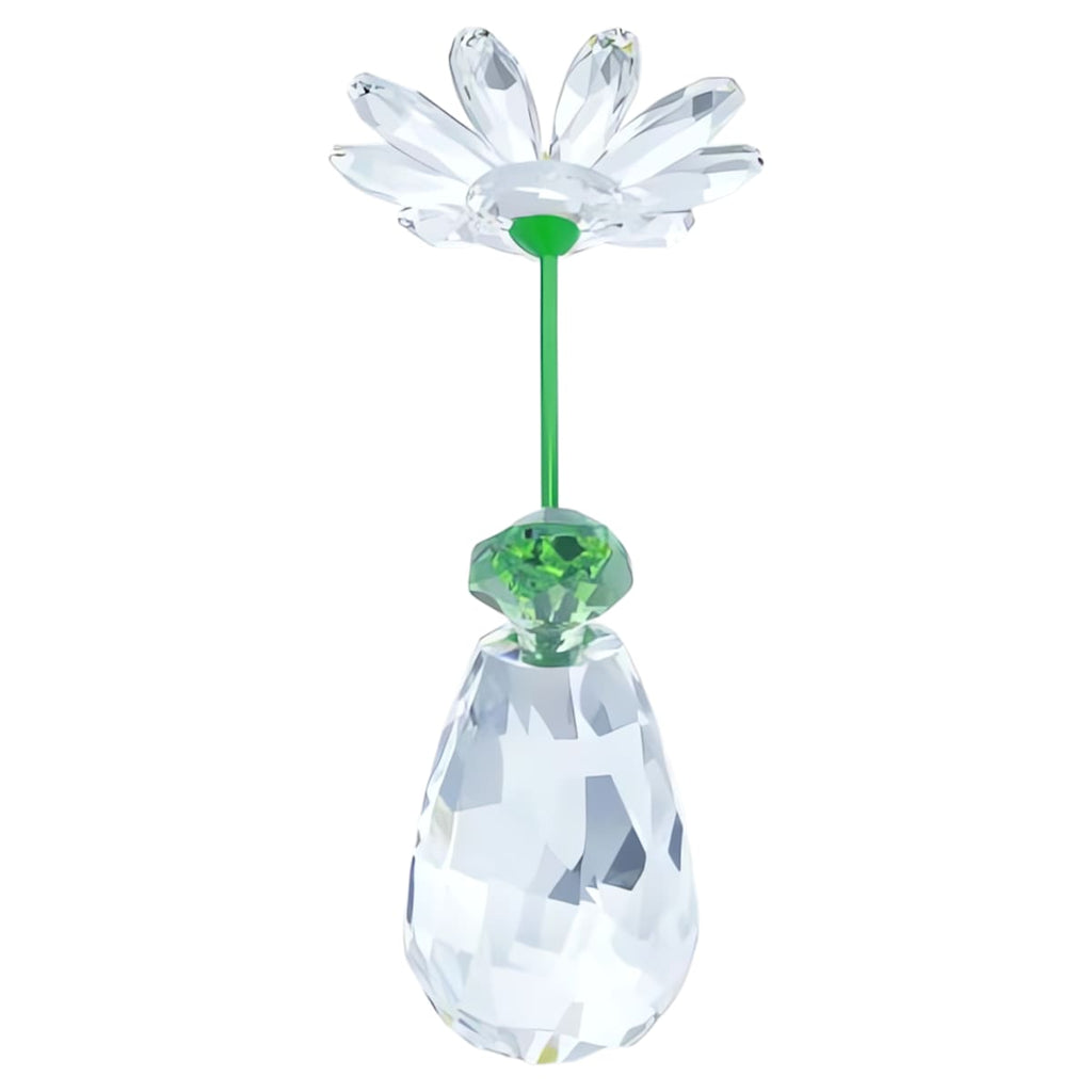 Rêves Fleuris Marguerite