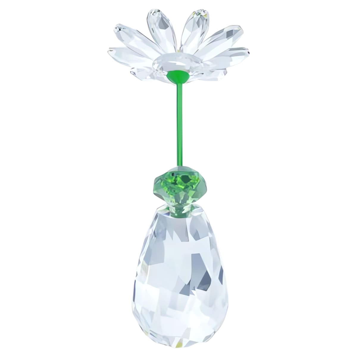Rêves Fleuris Marguerite
