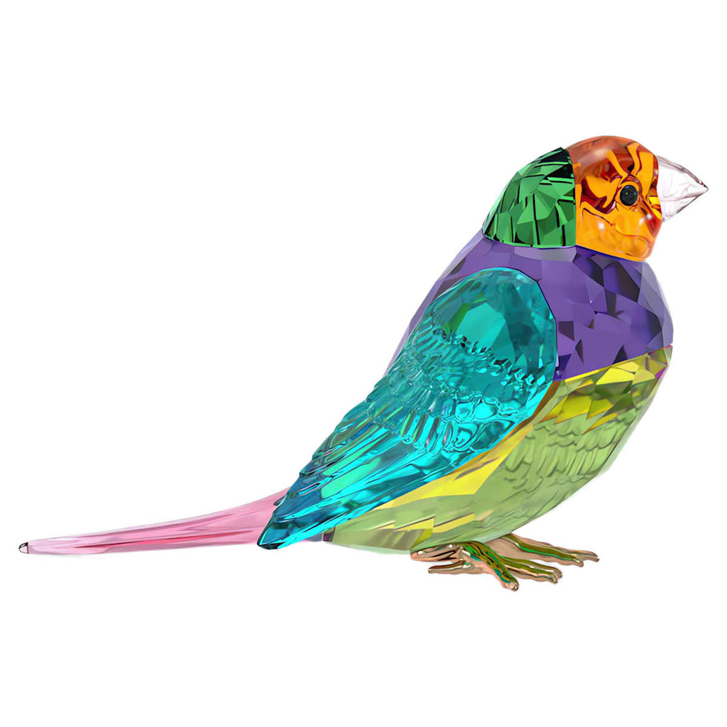 Idyllia SCS Gouldian Finch
