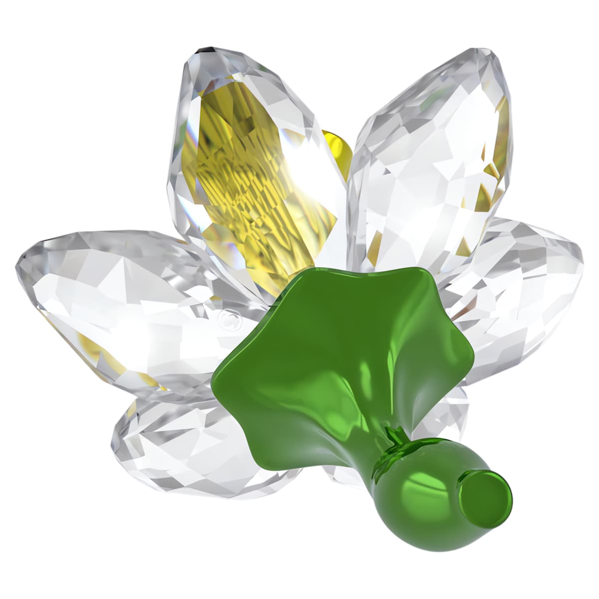 Florere Daffodil