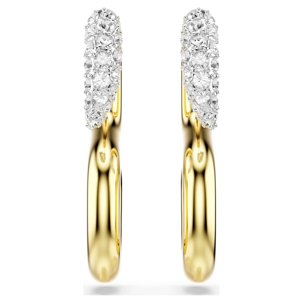 Dextera earrings