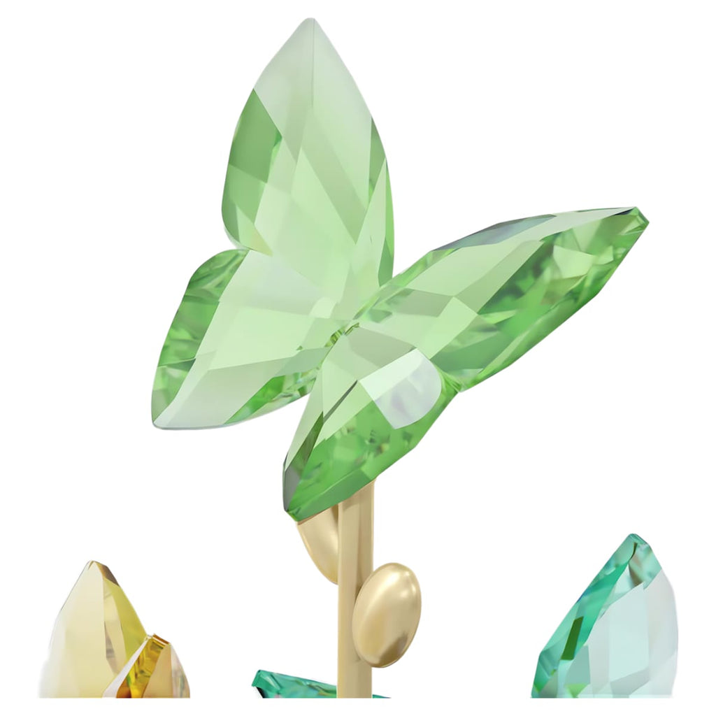 Cloche en verre papillon Jungle Beats