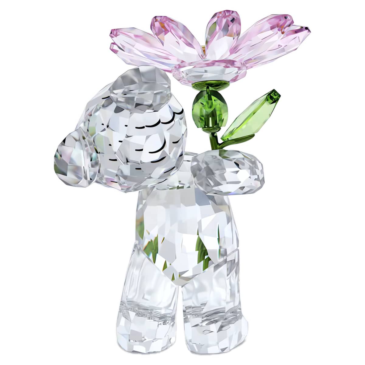 Kris Bear A Daisy for You