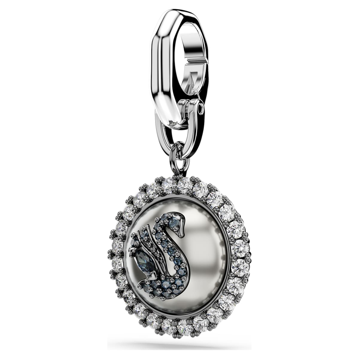 Symbolica charm