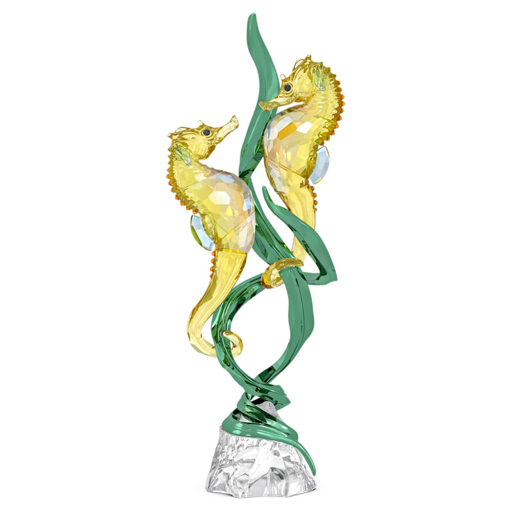 Idyllia SCS Édition annuelle 2025 Hippocampes