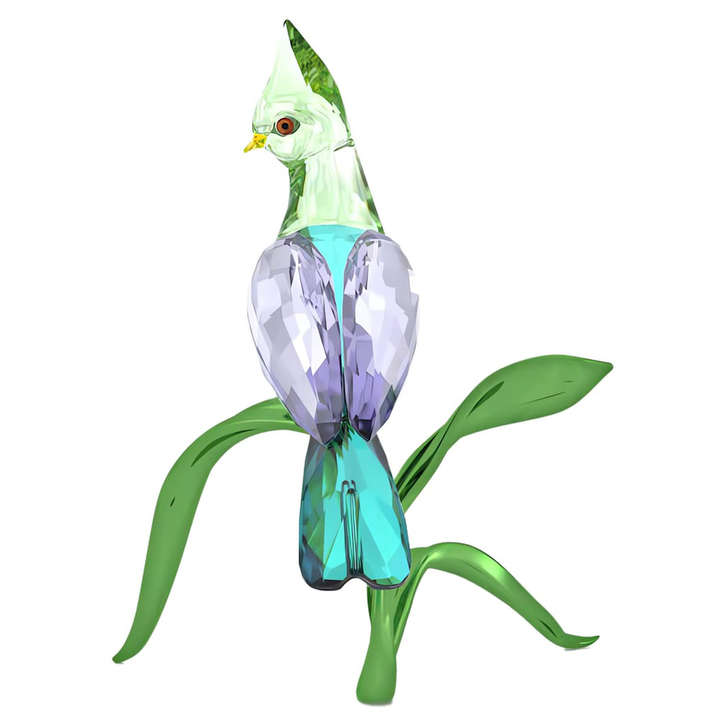 Idyllia Green Turaco