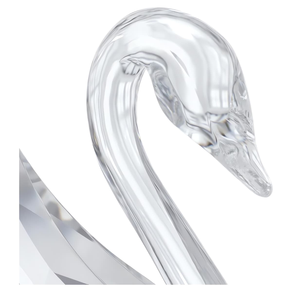 Cygne Signum