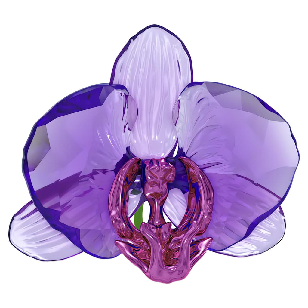 Idyllia SCS Orchideeblatt