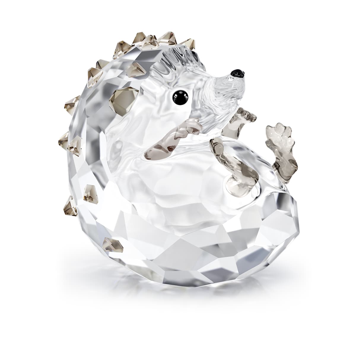 Idyllia Hedgehog