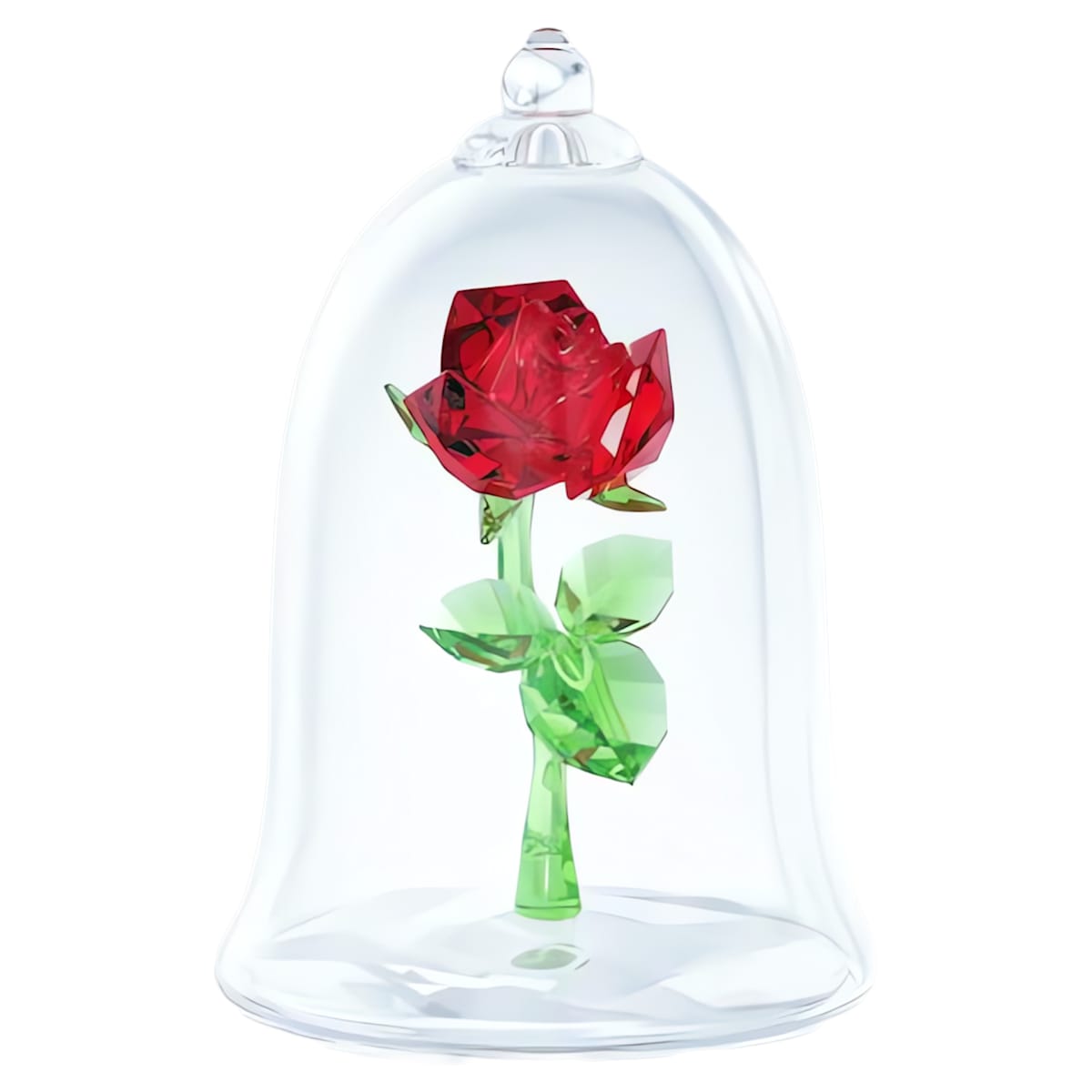 Enchanted Rose