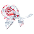 Aufblühende Rose