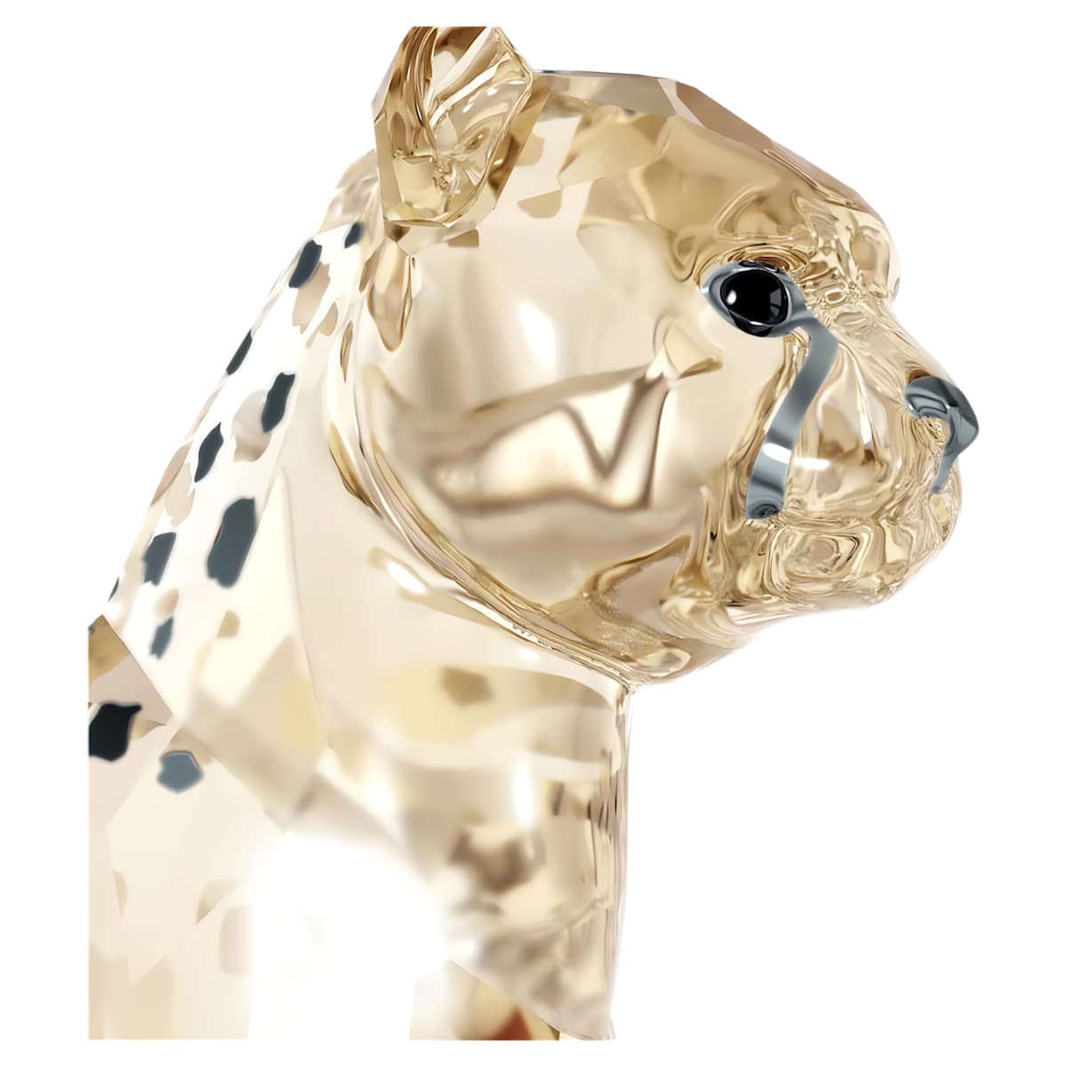 Elegance of Africa SCS Cheetah Baby Jabari