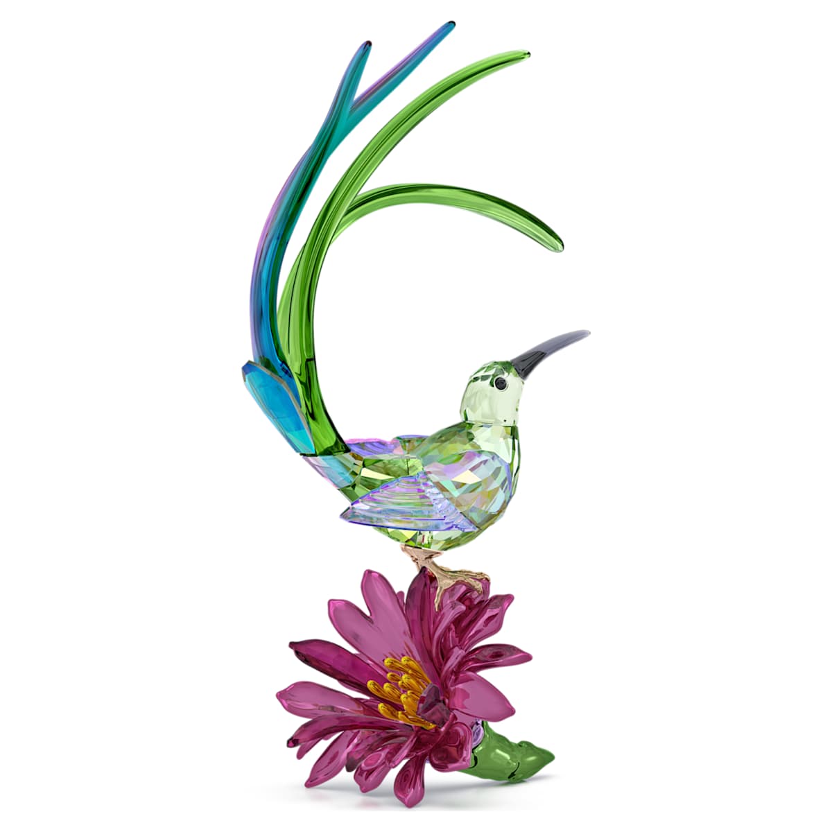 Idyllia Zuckerpapagei und Kaktusblüte