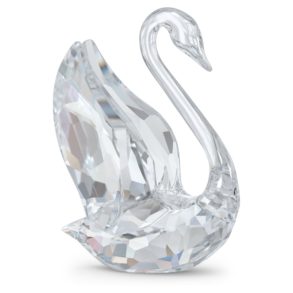 Cygne Signum