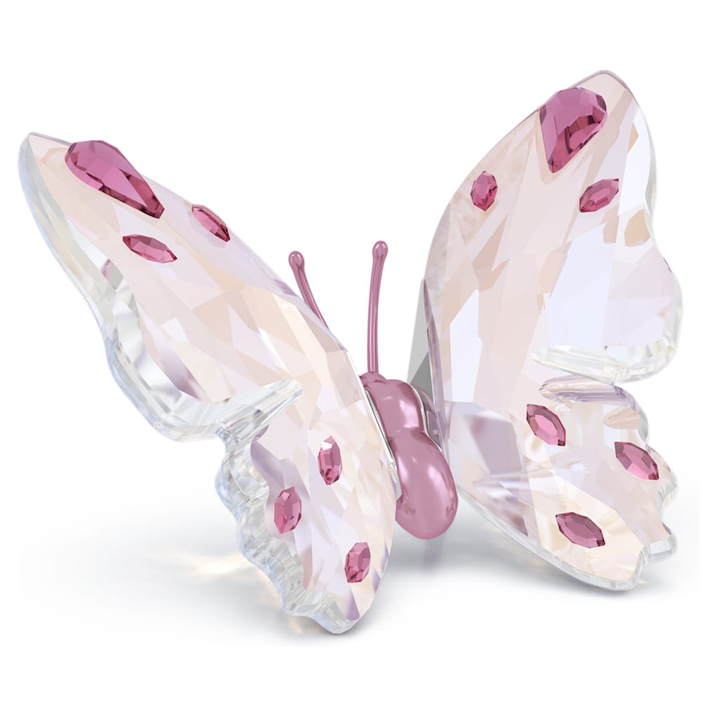 Mariposa Idyllia