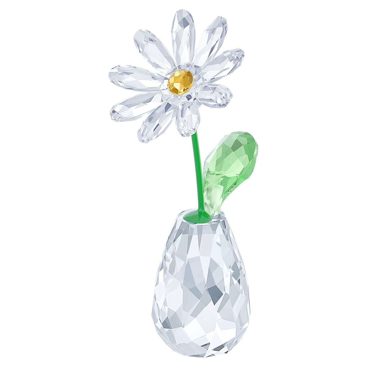Rêves Fleuris Marguerite