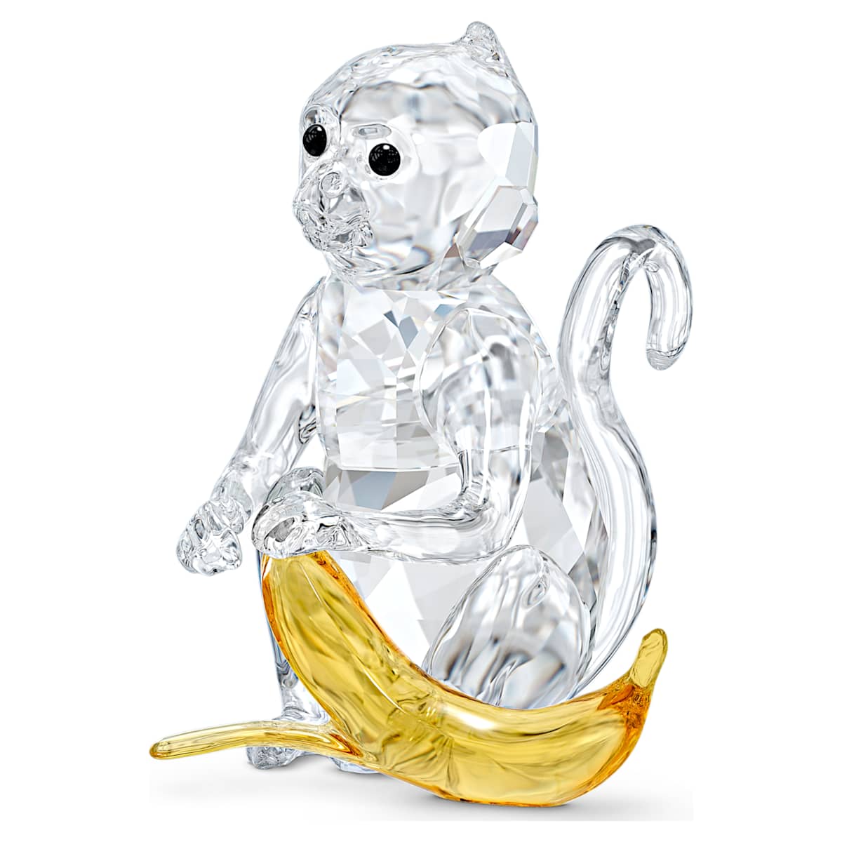 Rare Encounters Monkey with Banana