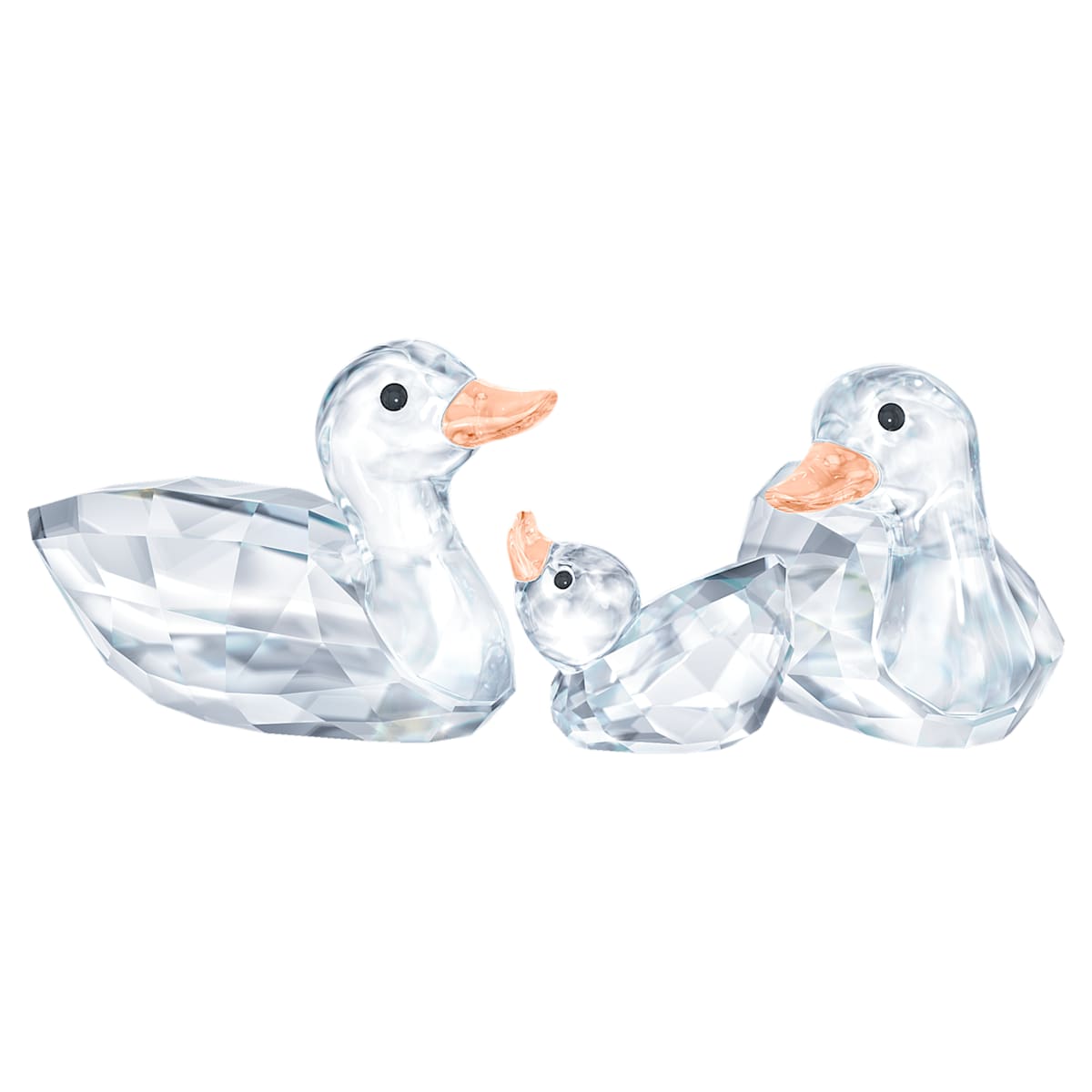 Ducks