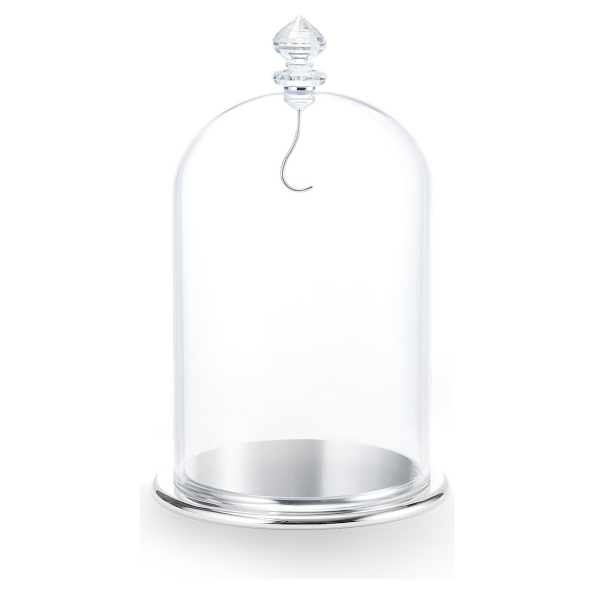 Bell Jar Display
