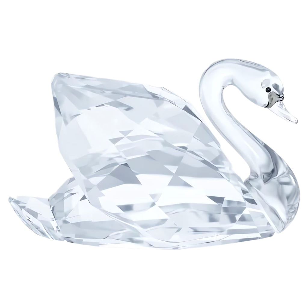 Feathered Beauties Swan