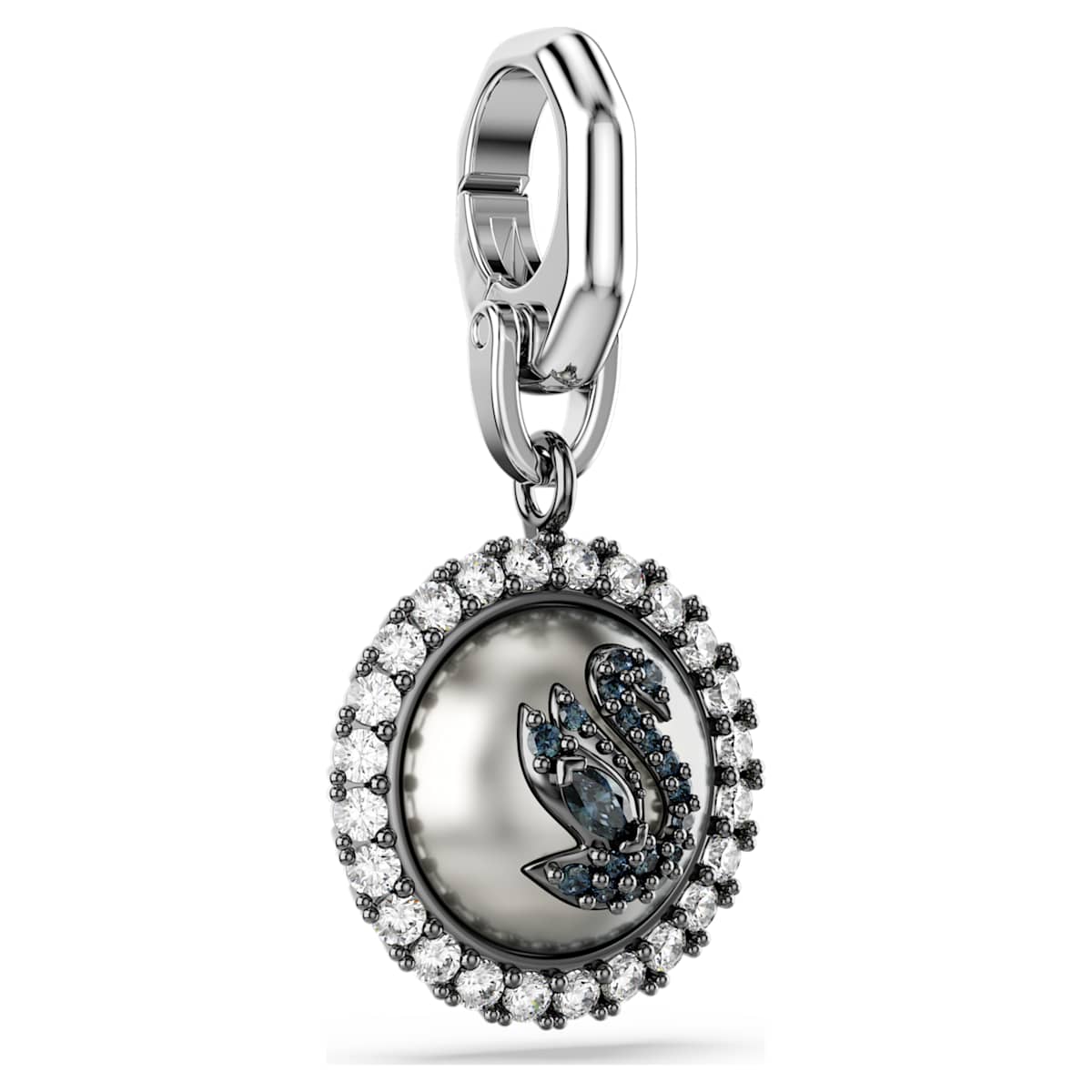 Symbolica charm