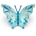 Papillon Idyllia