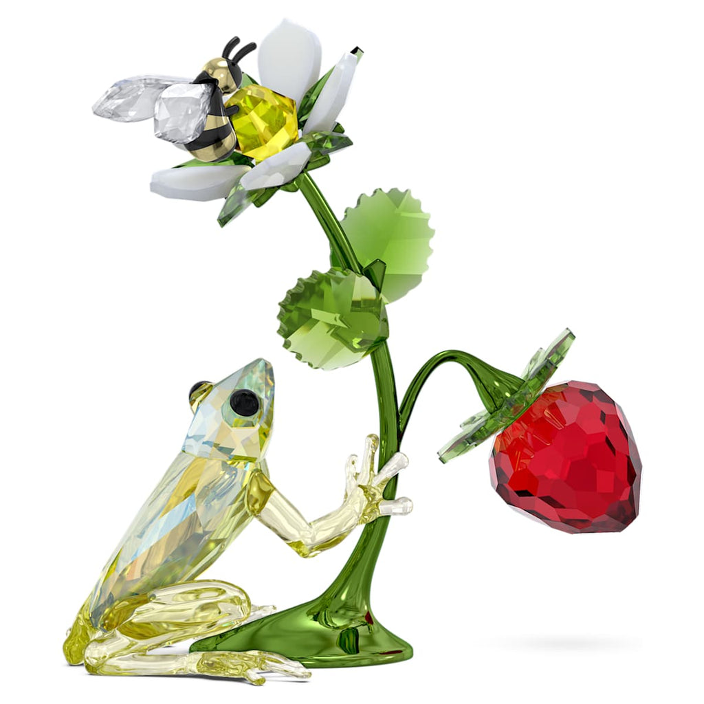 Grenouille Idyllia